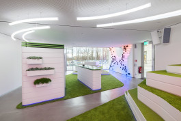 Invision, digital garden 