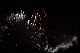 Julia Reschucha Architekturfotografie