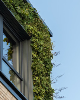 Julia Reschucha Architekturfotografie