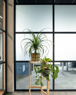 Julia Reschucha Architekturfotografie