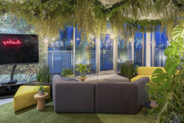 invision meeting jungle